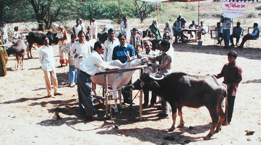 સ્વાસ્થ્ય જાગૃતિ